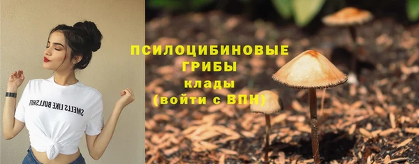 синтетический гашиш Медногорск