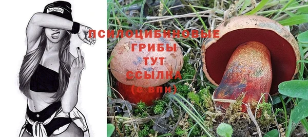 мдпв Михайловск