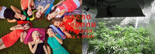 мдпв Михайловск