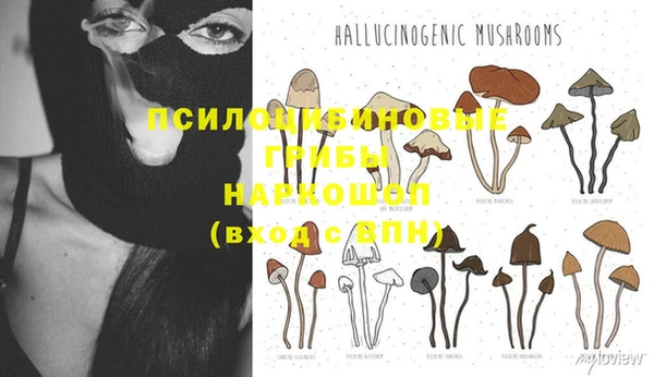 мдпв Михайловск