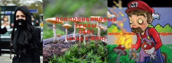 стафф Михайловка